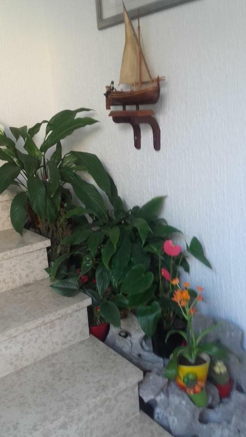 Apartment Bojana Novi Vinodolski Kültér fotó